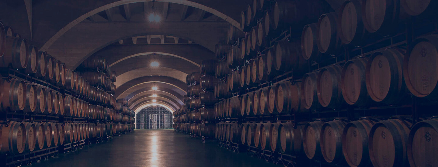 Bodegas Corral: Sala de Barricas