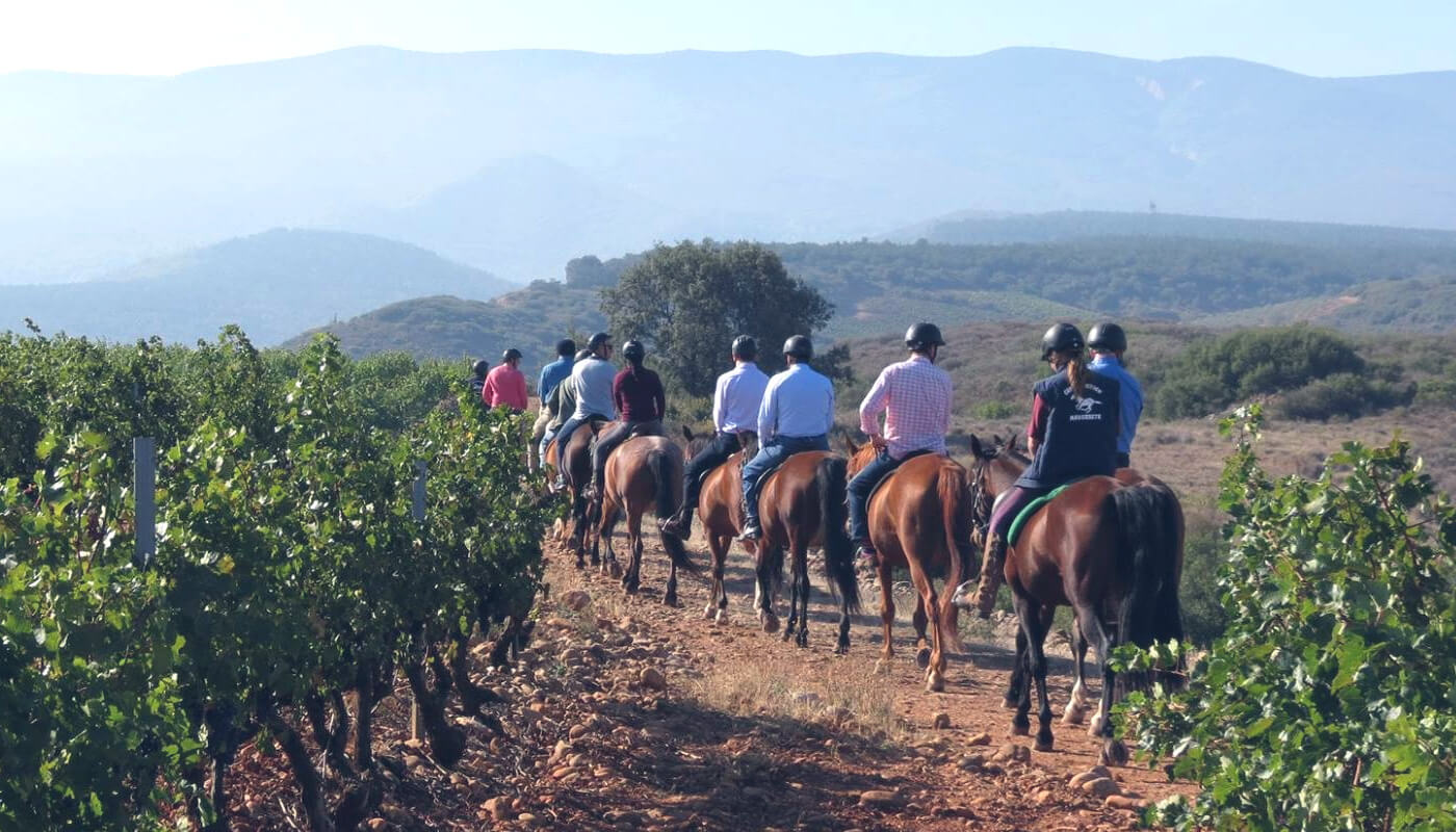 Bodegas Corral · Don Jacobo | Vinos de Rioja y Enoexperiencias | VISITA EN CABALLO