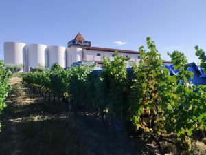 Bodegas Corral · Don Jacobo | Vinos de Rioja y Enoexperiencias|¡Comienza la vendimia en Bodegas Corral!
