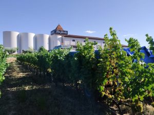 Bodegas Corral · Don Jacobo | Vinos de Rioja y Enoexperiencias | ¡Comienza la vendimia en Bodegas Corral!