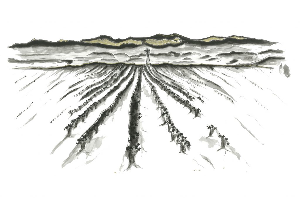 Bodegas Corral · Don Jacobo | Vinos de Rioja y Enoexperiencias | El artista riojano Carlos Villoslada 
