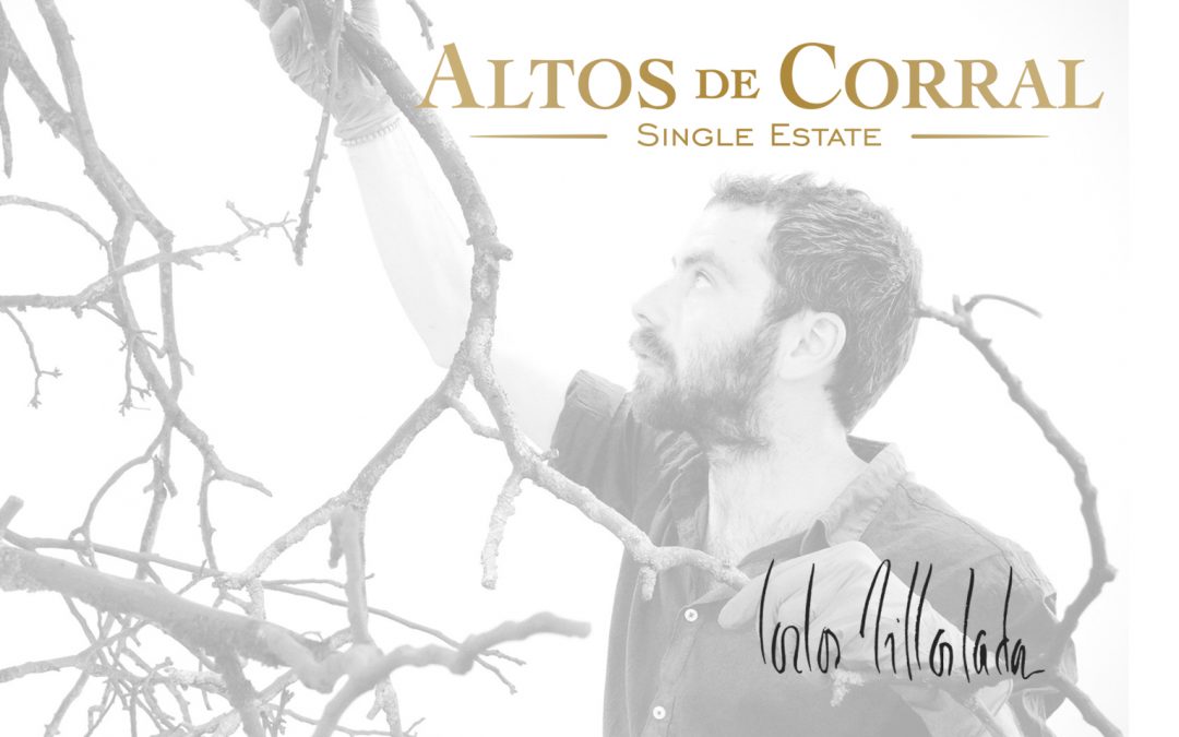 Bodegas Corral · Don Jacobo | Vinos de Rioja y Enoexperiencias | El artista riojano Carlos Villoslada 