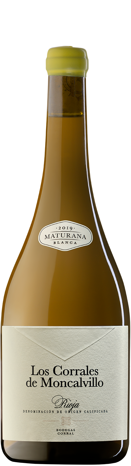 Los_Corrales_de_Moncalvillo_MATURANA_BLANCA_2019 Vine Roots Garnacha