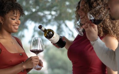 Los 5 grandes mitos del vino que desmontamos en bodega (y un bonus track)