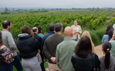 3 razones para visitar Bodegas Corral esta temporada (y brindar por ello)