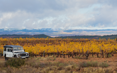 Cómo se divide la DOCa Rioja: diferencias entre Rioja Alta, Rioja Alavesa y Rioja Oriental y qué aporta cada zona al vino