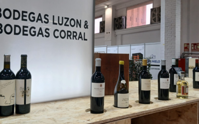 First International Wine Trade Fairs of 2026: our cellars kicks off the season strengthening its global presence