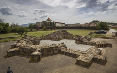 El vino a lo largo de la historia del Camino de Santiago: tradición, cultura y hospitalidad